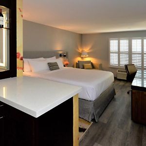 Standard King Room Roll Shower Mobility Accessible